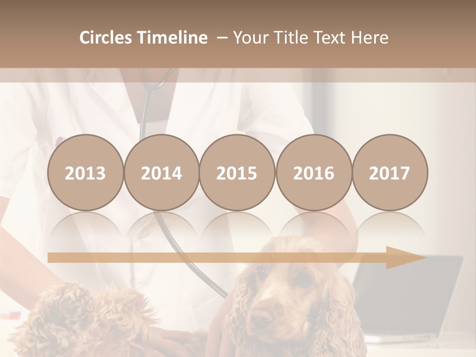 Privacy Palpate Laugh PowerPoint Template