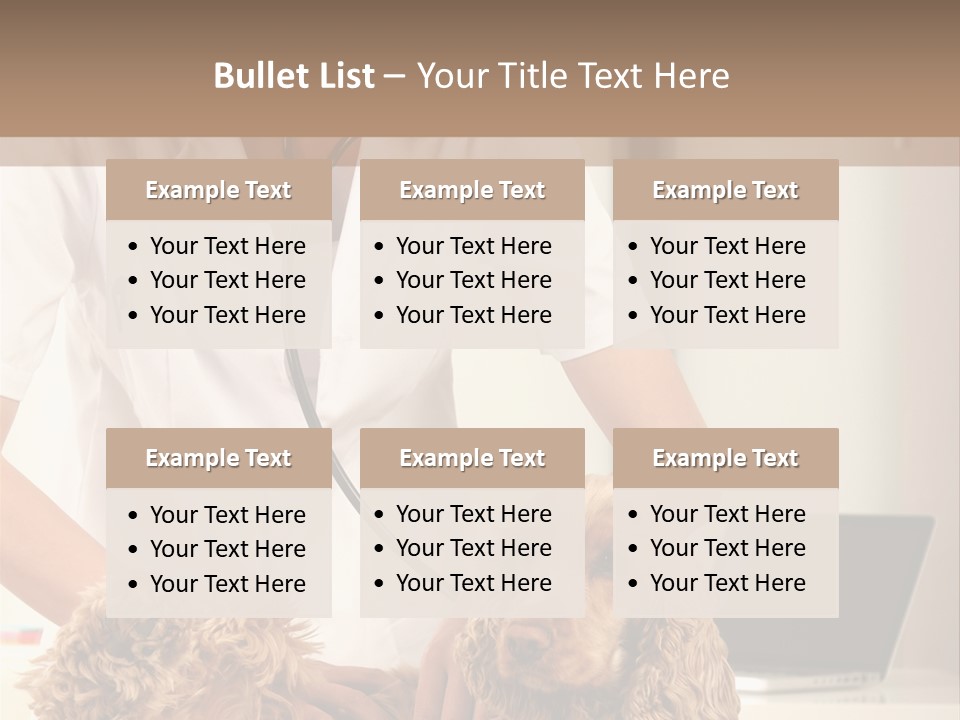 Privacy Palpate Laugh PowerPoint Template