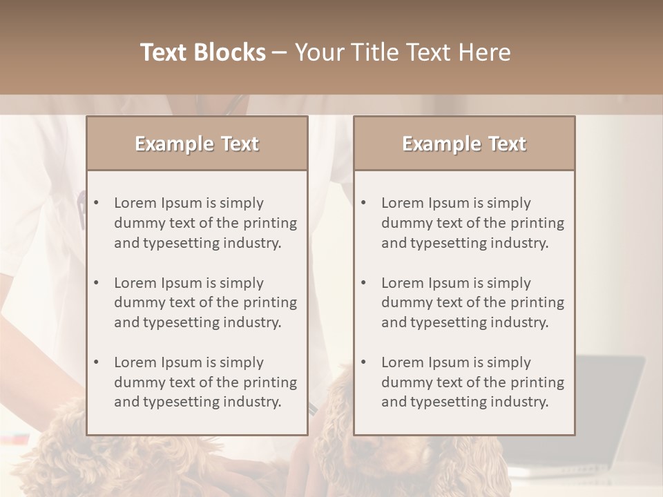 Privacy Palpate Laugh PowerPoint Template