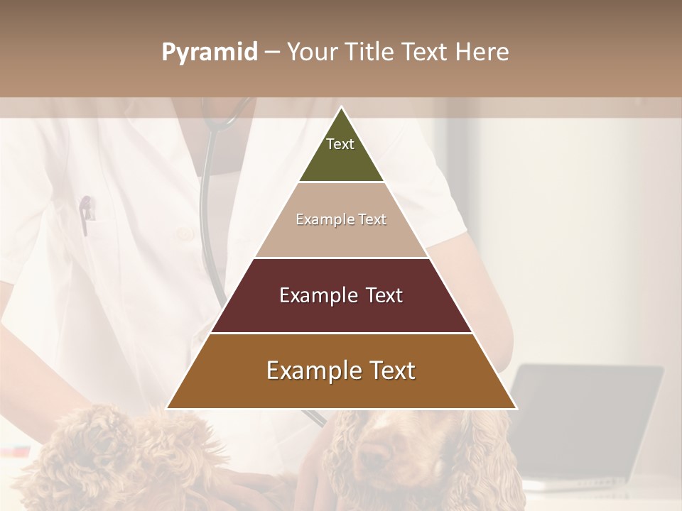 Privacy Palpate Laugh PowerPoint Template