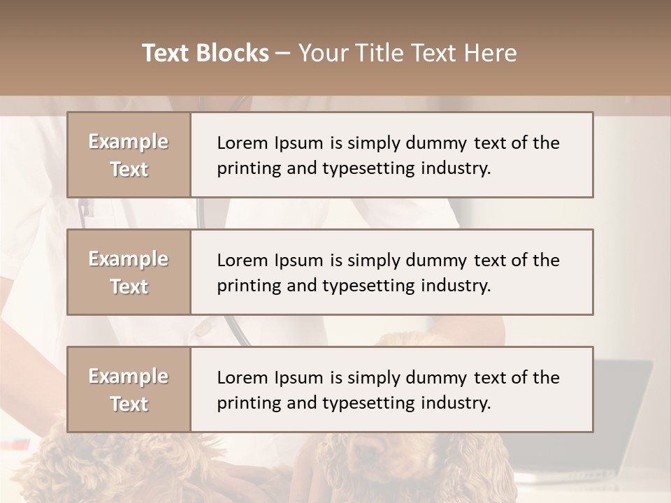 Privacy Palpate Laugh PowerPoint Template
