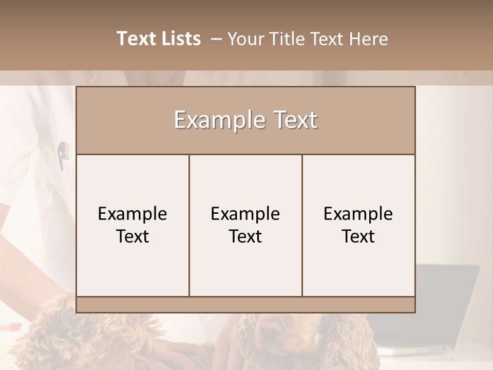 Privacy Palpate Laugh PowerPoint Template