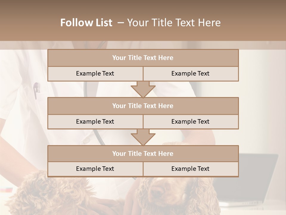Privacy Palpate Laugh PowerPoint Template