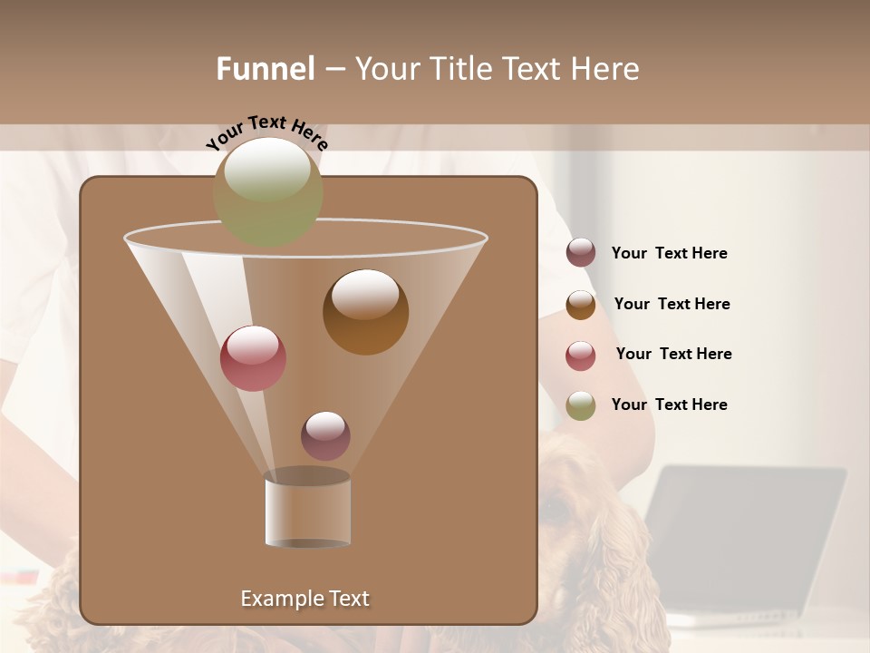 Privacy Palpate Laugh PowerPoint Template