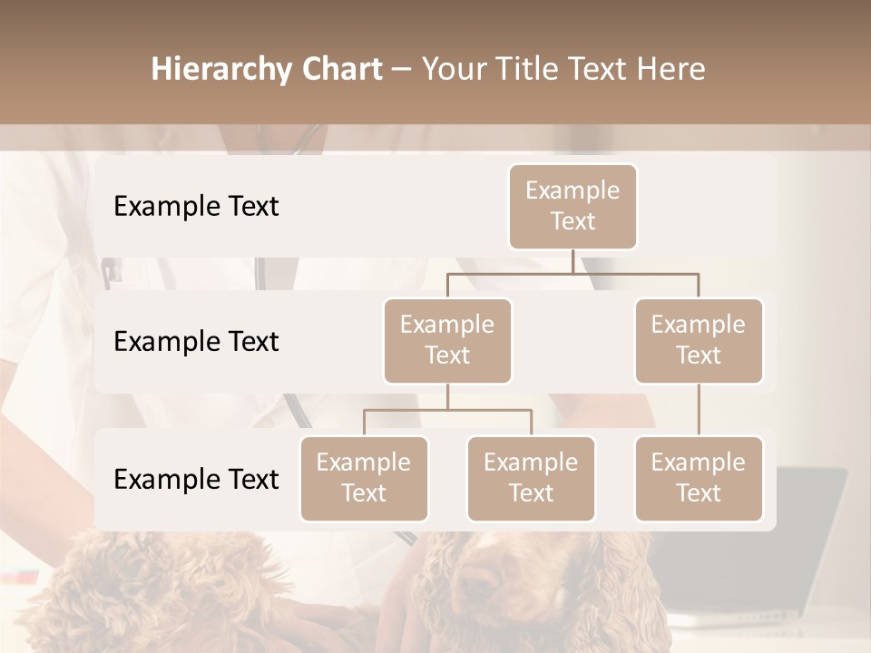 Privacy Palpate Laugh PowerPoint Template