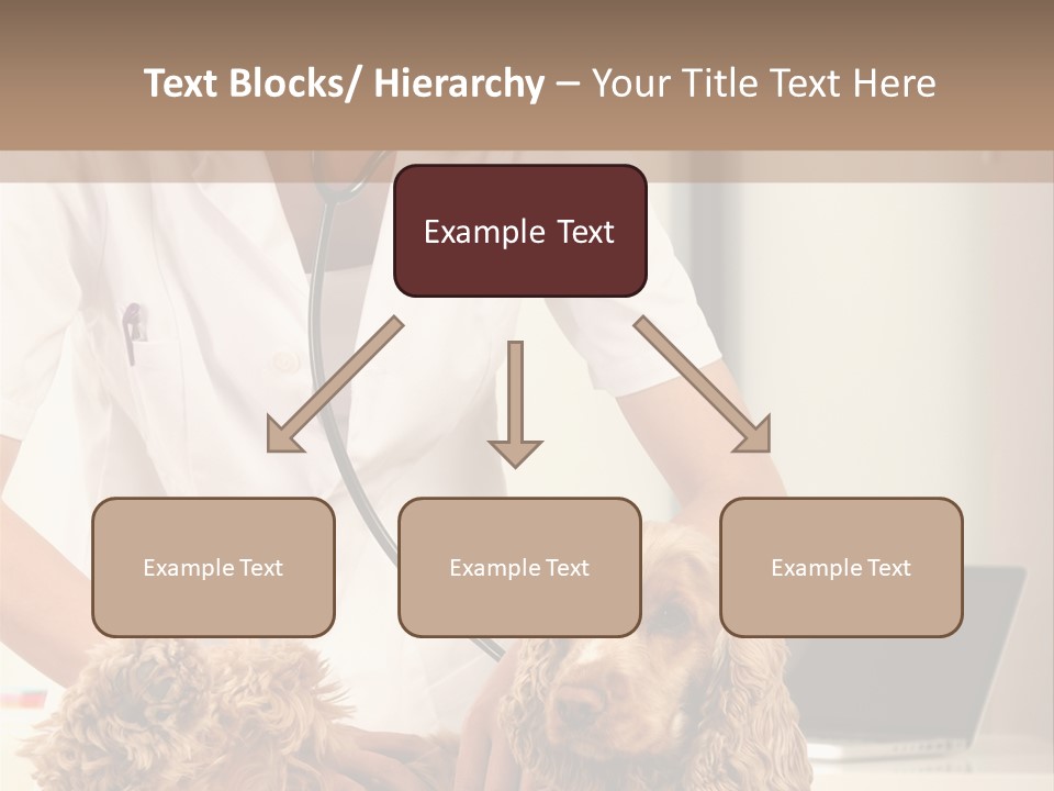 Privacy Palpate Laugh PowerPoint Template