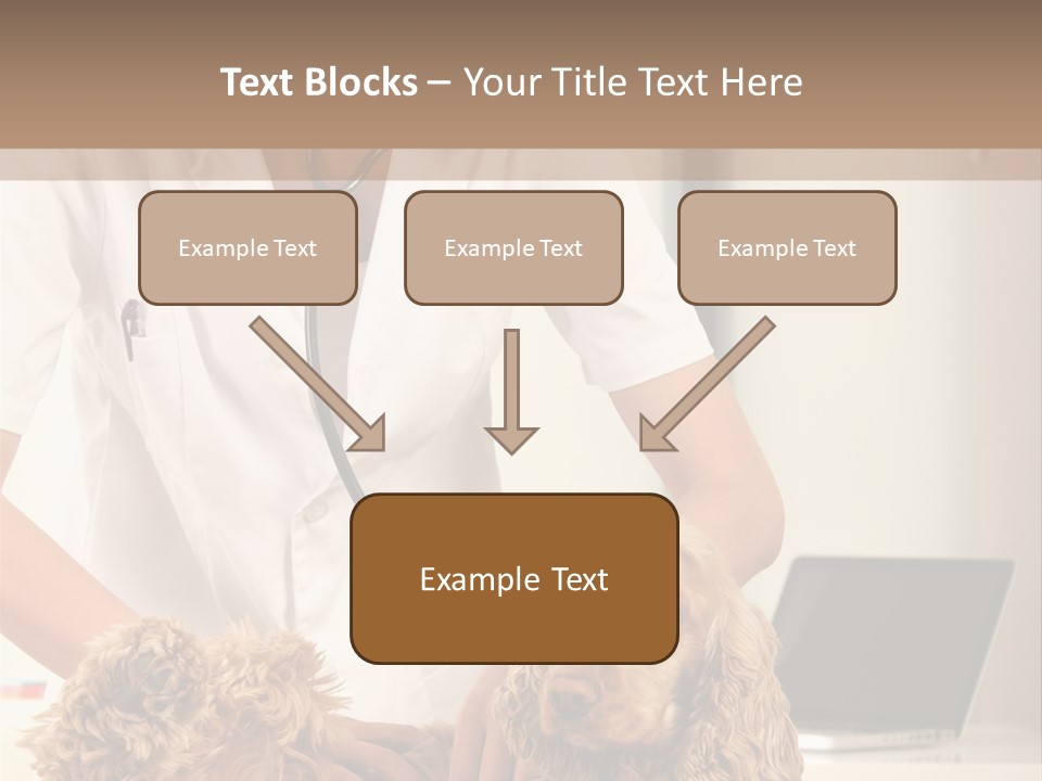 Privacy Palpate Laugh PowerPoint Template