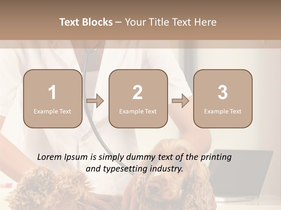 Privacy Palpate Laugh PowerPoint Template