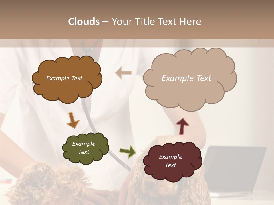 Privacy Palpate Laugh PowerPoint Template