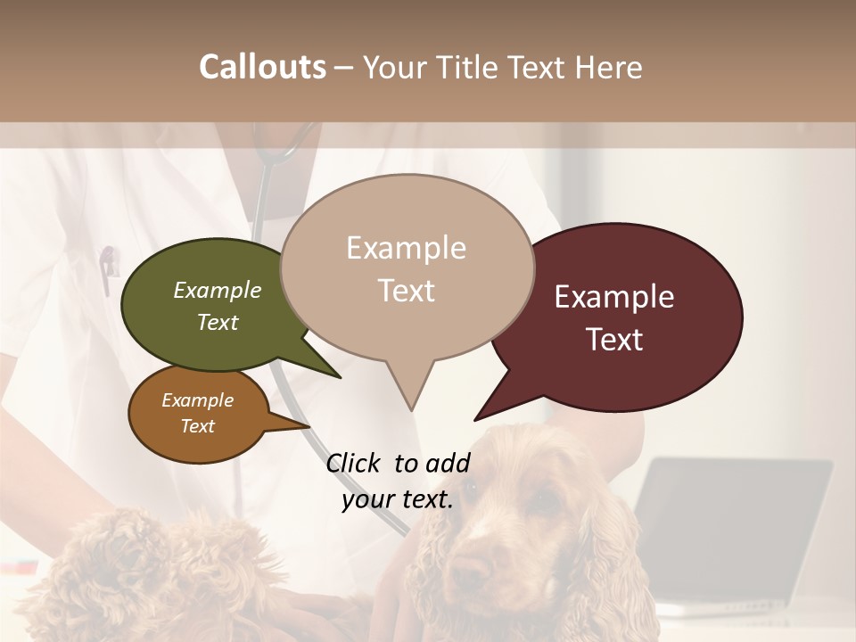 Privacy Palpate Laugh PowerPoint Template