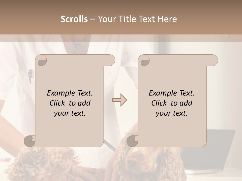 Privacy Palpate Laugh PowerPoint Template