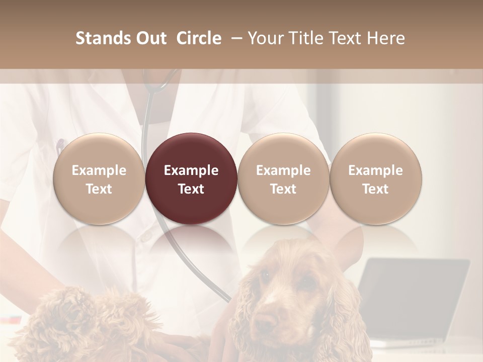 Privacy Palpate Laugh PowerPoint Template