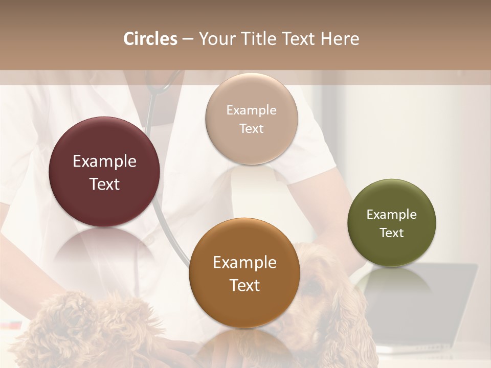 Privacy Palpate Laugh PowerPoint Template