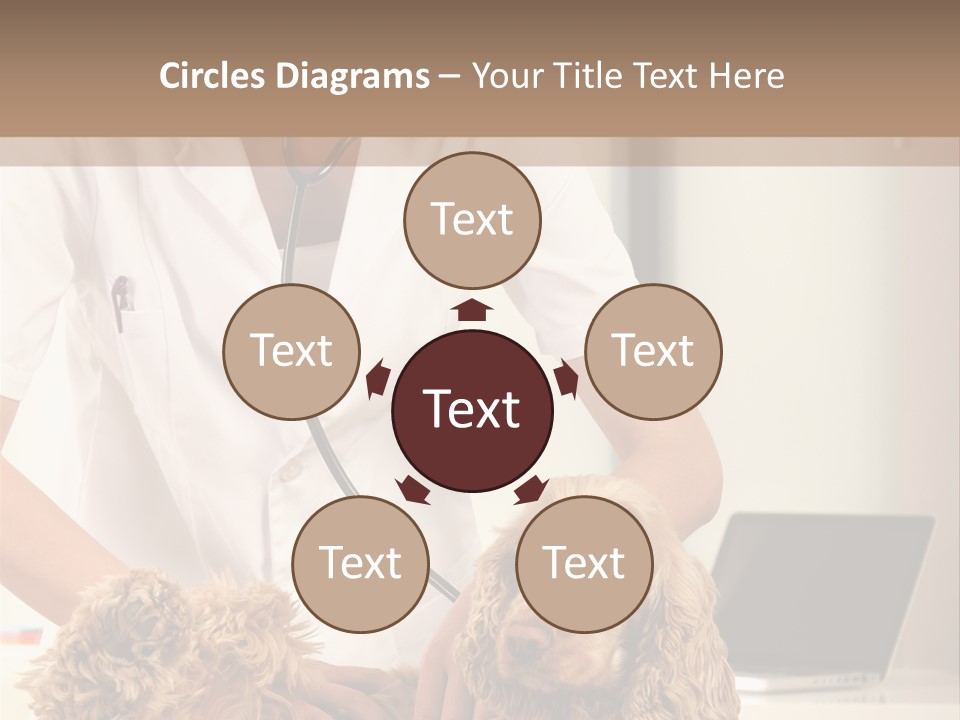 Privacy Palpate Laugh PowerPoint Template