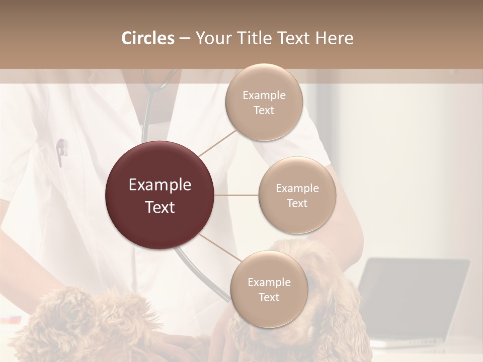 Privacy Palpate Laugh PowerPoint Template