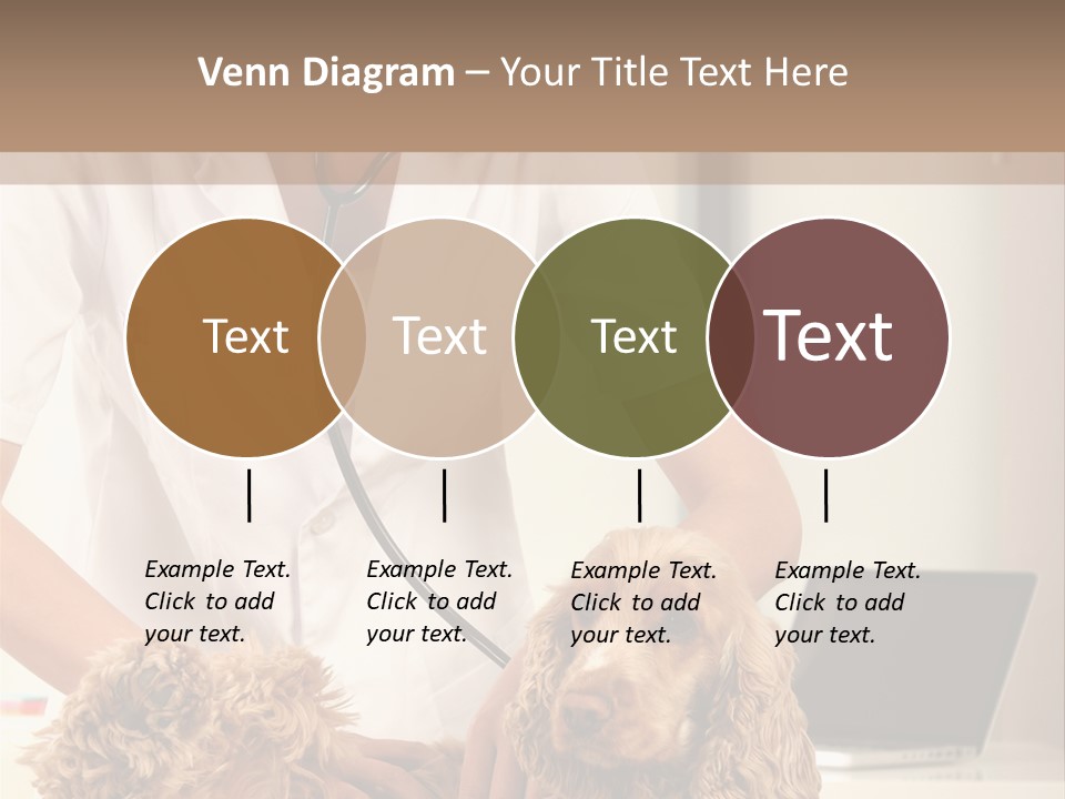 Privacy Palpate Laugh PowerPoint Template