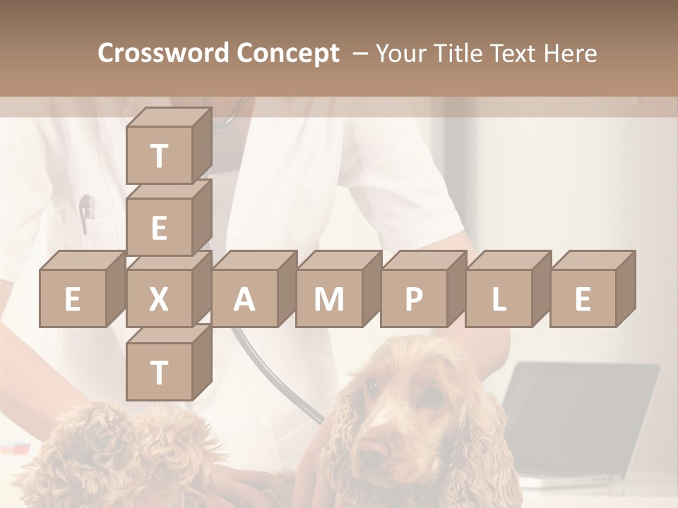 Privacy Palpate Laugh PowerPoint Template