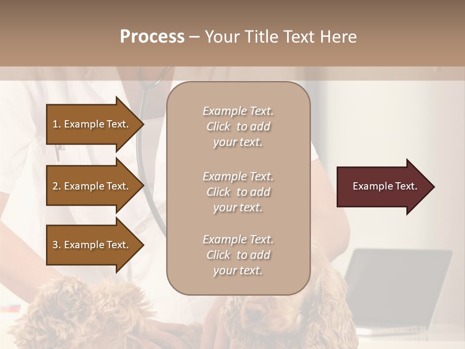 Privacy Palpate Laugh PowerPoint Template
