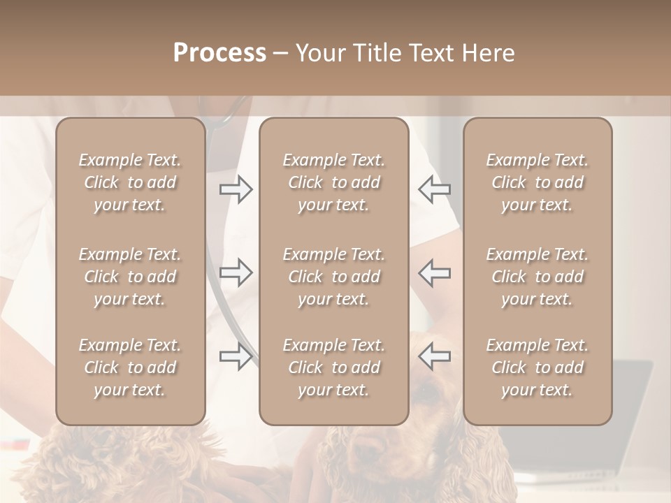 Privacy Palpate Laugh PowerPoint Template