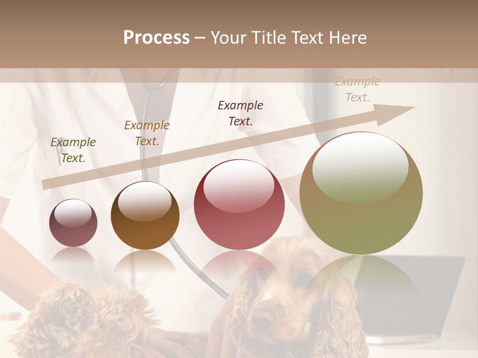 Privacy Palpate Laugh PowerPoint Template