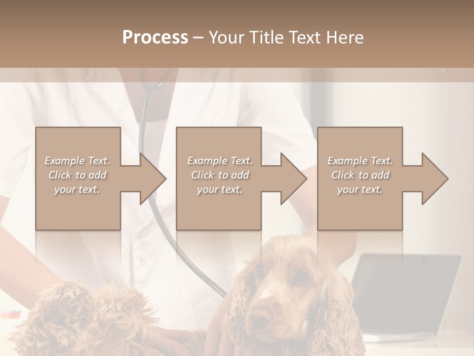 Privacy Palpate Laugh PowerPoint Template