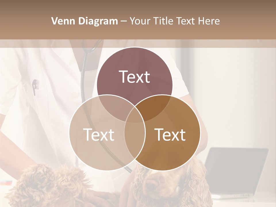 Privacy Palpate Laugh PowerPoint Template