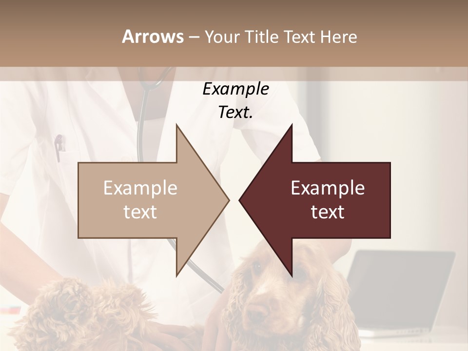 Privacy Palpate Laugh PowerPoint Template