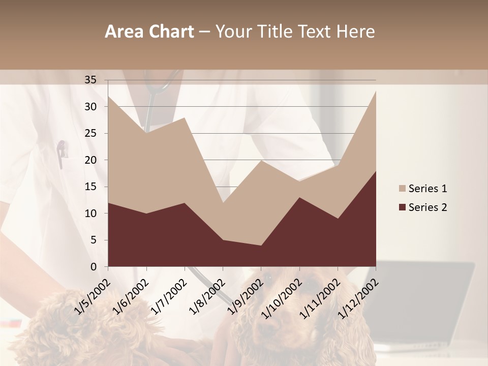 Privacy Palpate Laugh PowerPoint Template