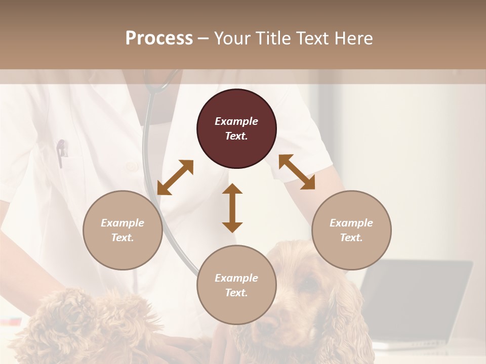 Privacy Palpate Laugh PowerPoint Template