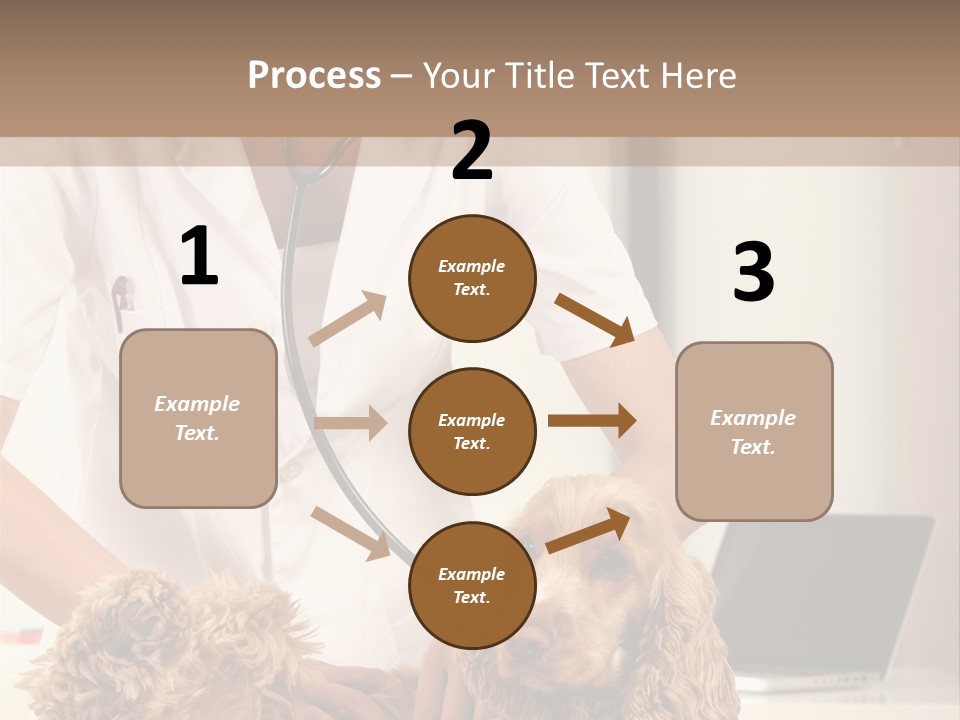 Privacy Palpate Laugh PowerPoint Template