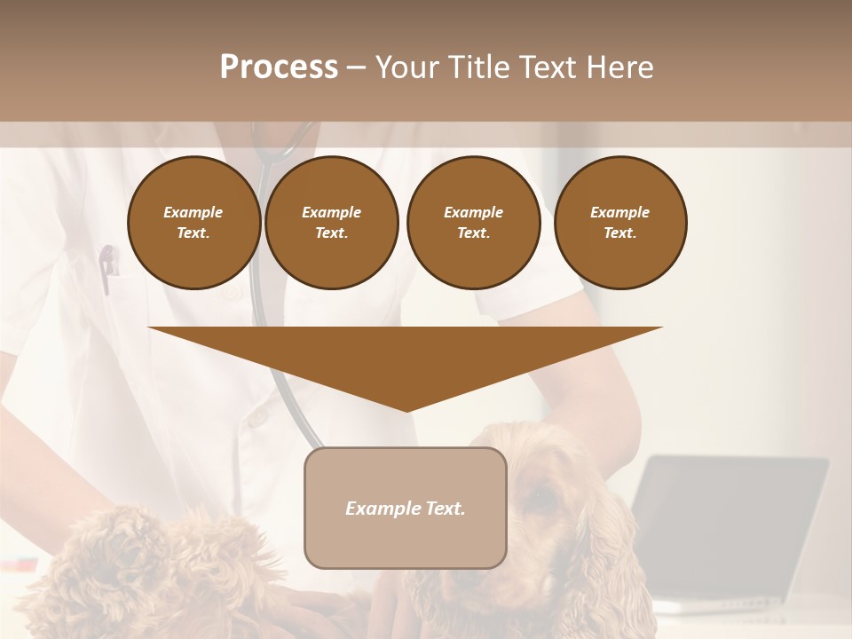 Privacy Palpate Laugh PowerPoint Template