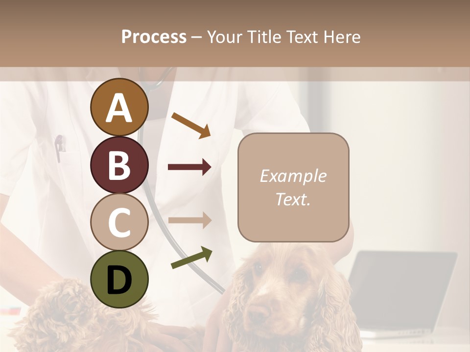 Privacy Palpate Laugh PowerPoint Template