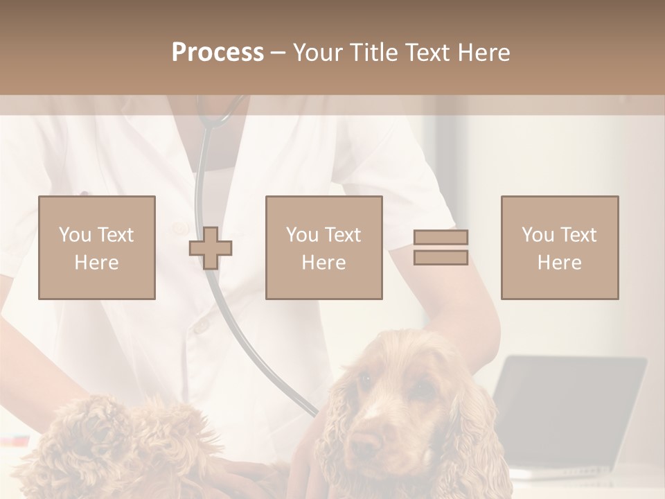 Privacy Palpate Laugh PowerPoint Template