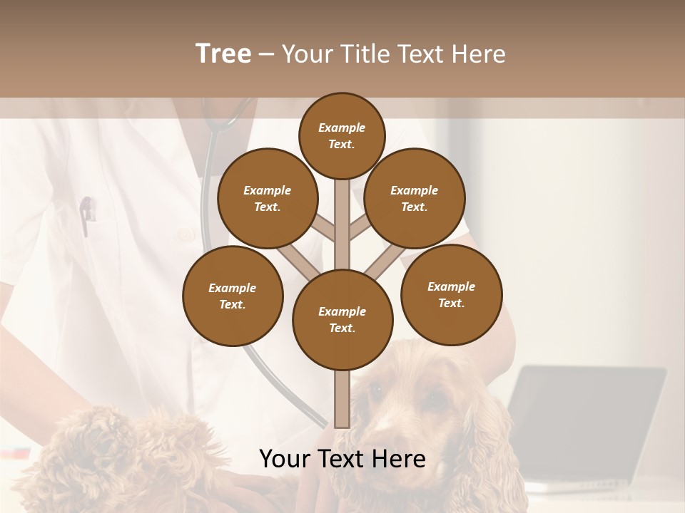 Privacy Palpate Laugh PowerPoint Template