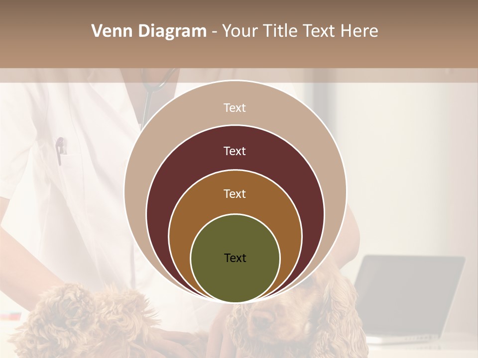 Privacy Palpate Laugh PowerPoint Template
