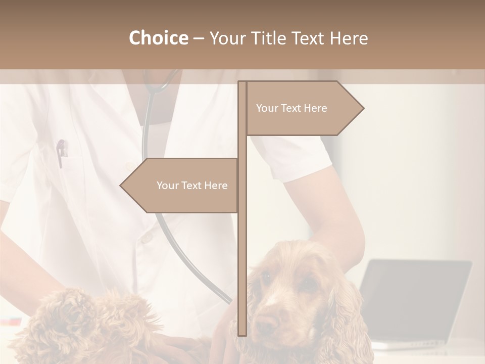 Privacy Palpate Laugh PowerPoint Template