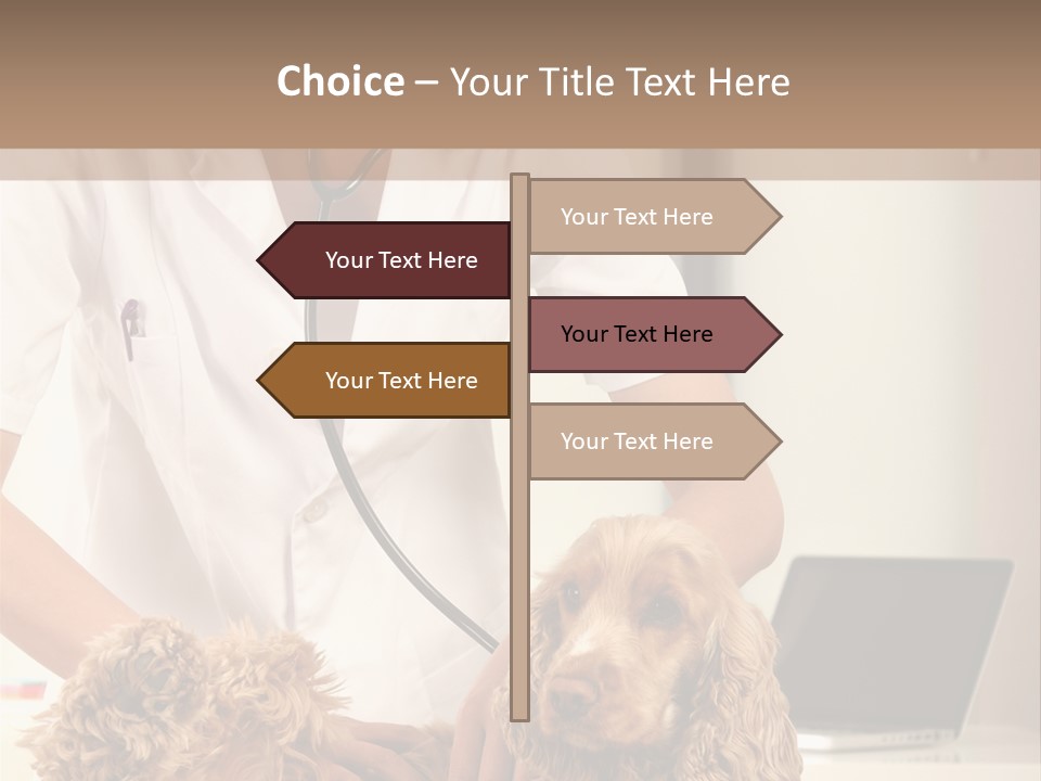 Privacy Palpate Laugh PowerPoint Template