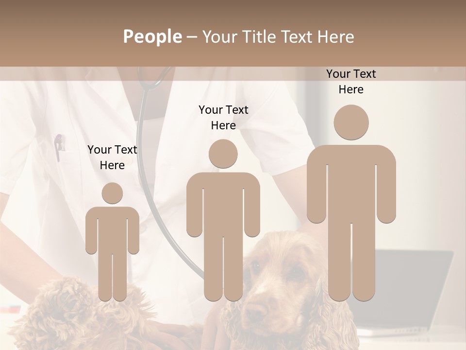 Privacy Palpate Laugh PowerPoint Template