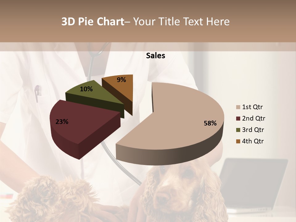 Privacy Palpate Laugh PowerPoint Template