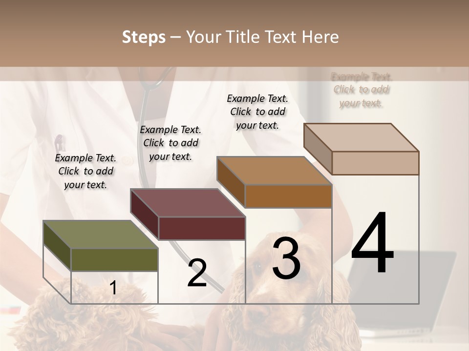 Privacy Palpate Laugh PowerPoint Template