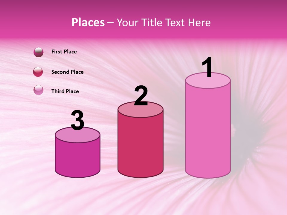 Regal Mallow Flower Nature PowerPoint Template