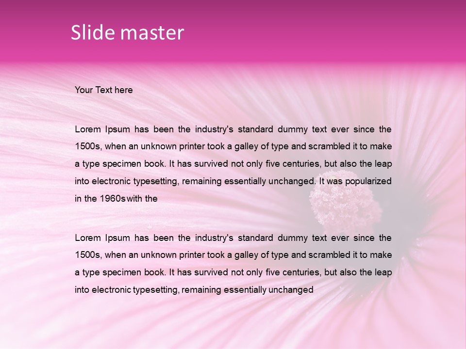 Regal Mallow Flower Nature PowerPoint Template