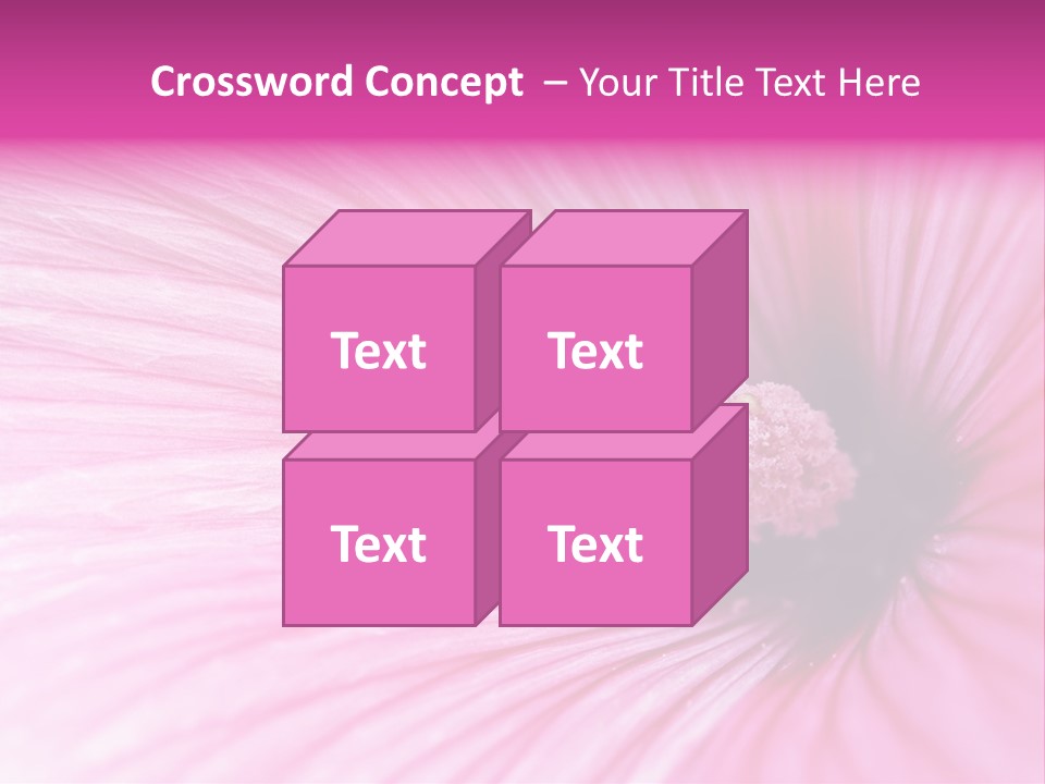 Regal Mallow Flower Nature PowerPoint Template