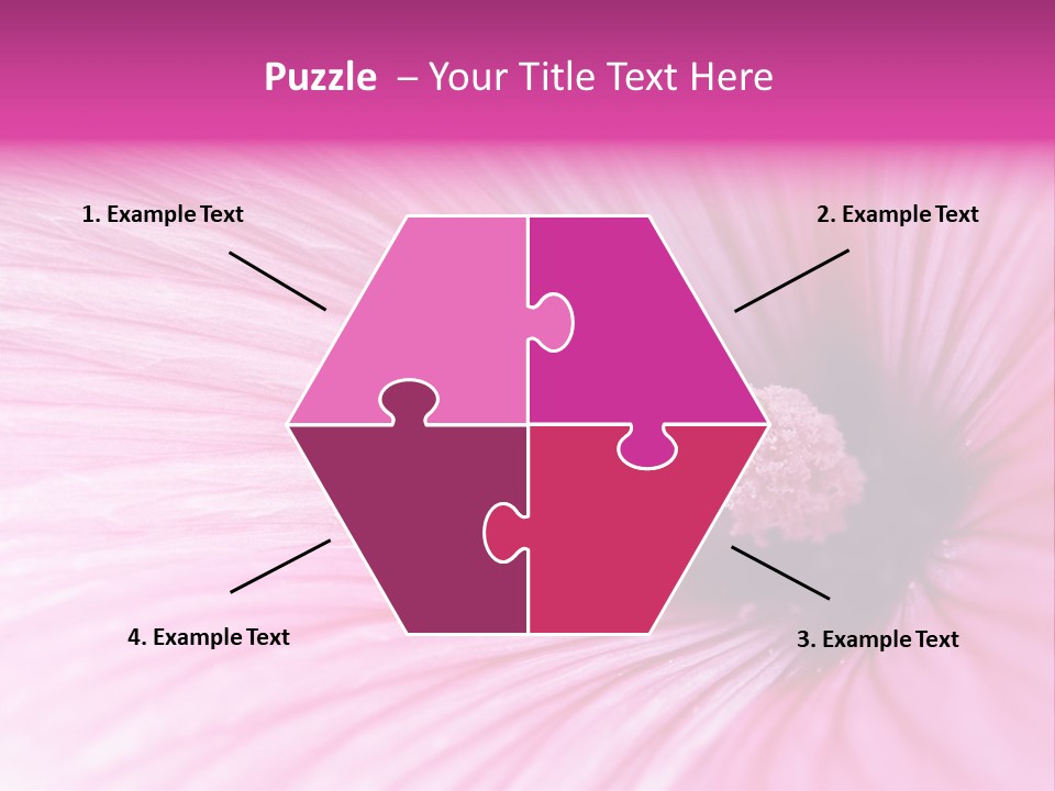 Regal Mallow Flower Nature PowerPoint Template