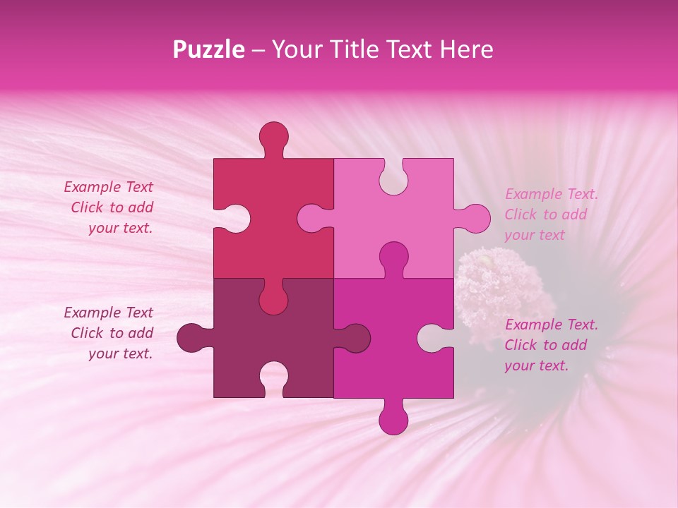 Regal Mallow Flower Nature PowerPoint Template