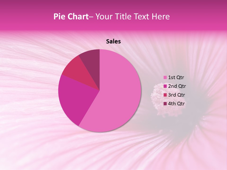 Regal Mallow Flower Nature PowerPoint Template