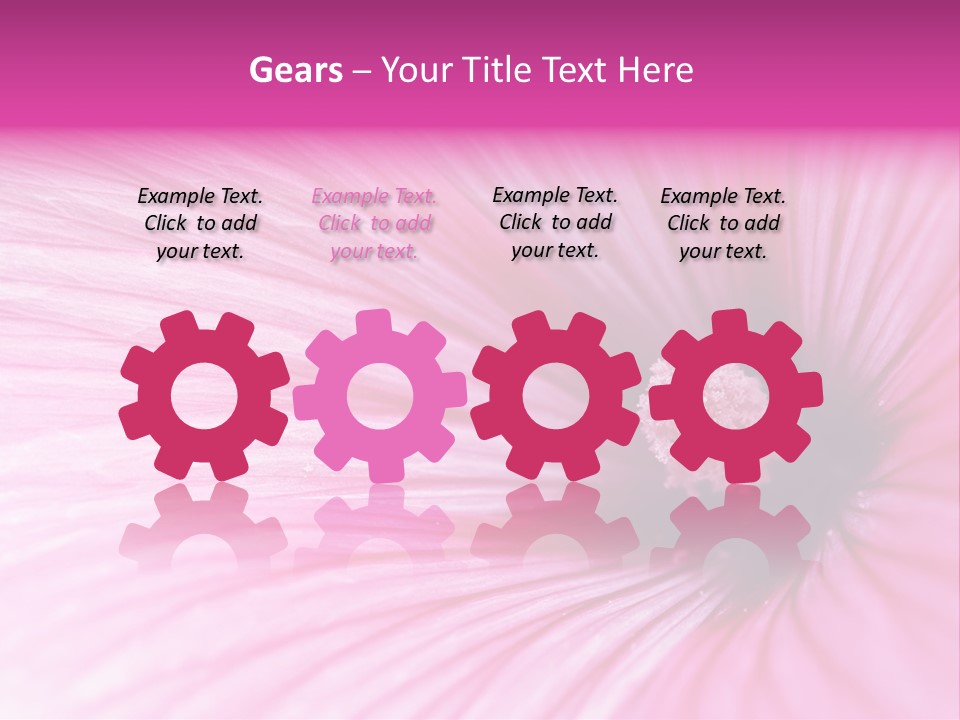 Regal Mallow Flower Nature PowerPoint Template