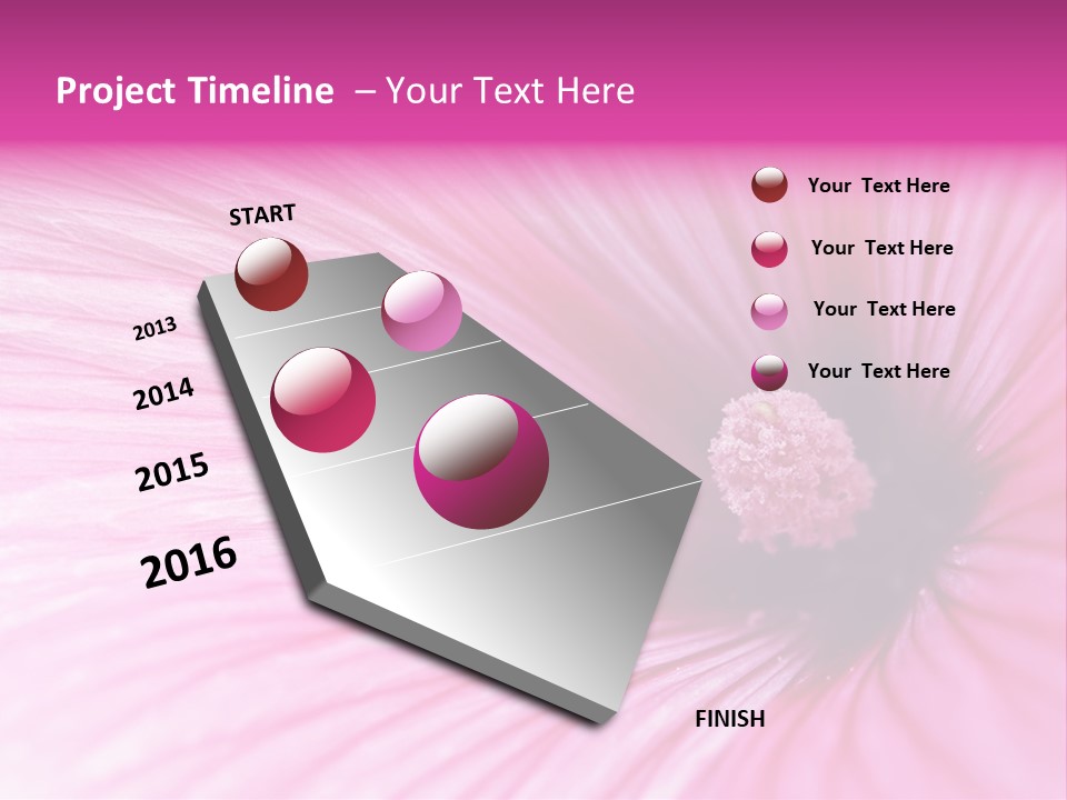 Regal Mallow Flower Nature PowerPoint Template