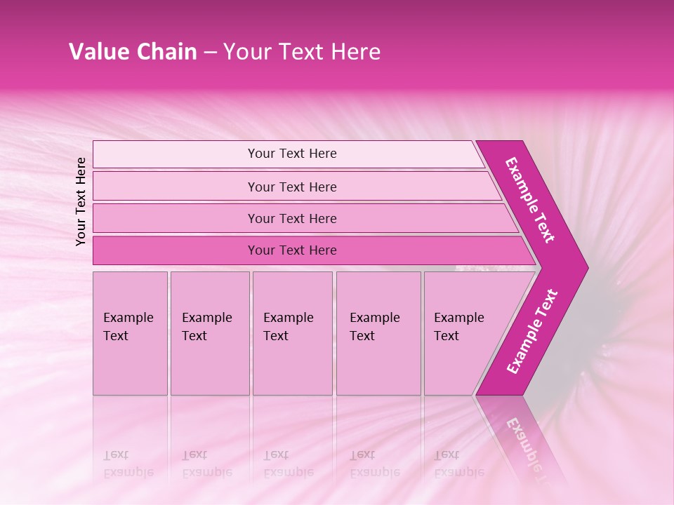 Regal Mallow Flower Nature PowerPoint Template