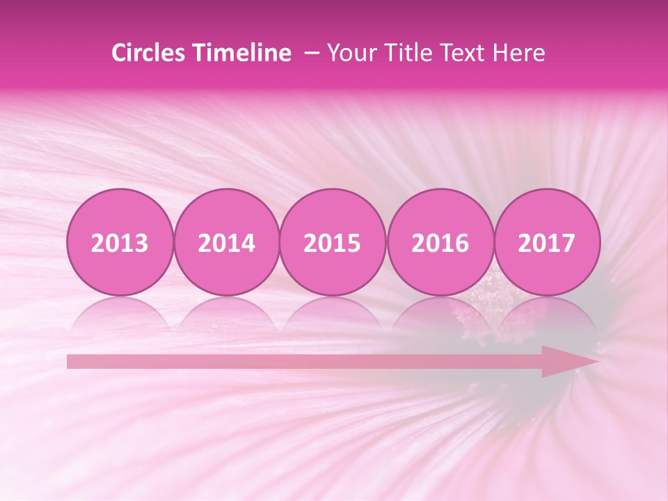 Regal Mallow Flower Nature PowerPoint Template